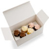 Two Cupcake Box-BB2-WEB-1 PROFILE